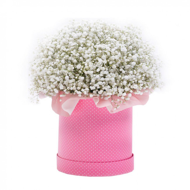 Букет цветов "Шляпная коробка с белой гипсофилой"